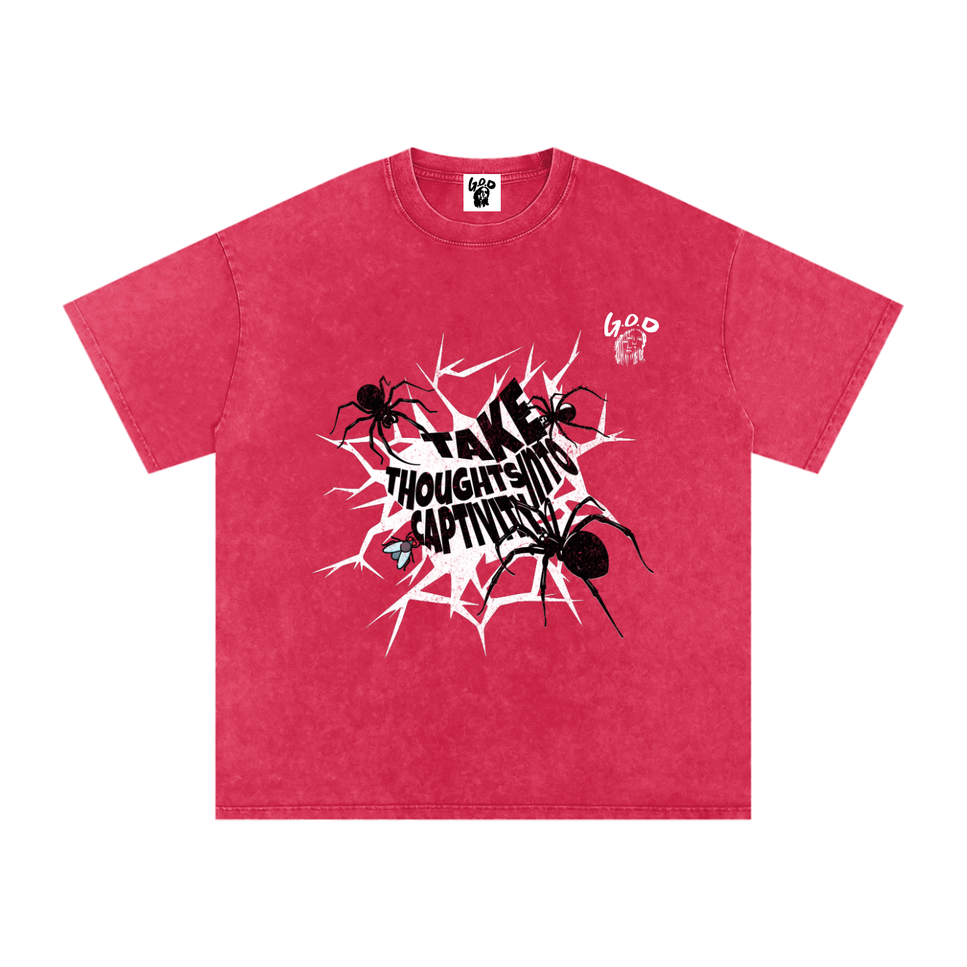 Snow Washed Oversized Cotton T-Shirt